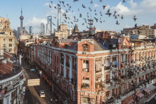 上海夜景高清全景图(上海夜景美轮美奂的全景图)